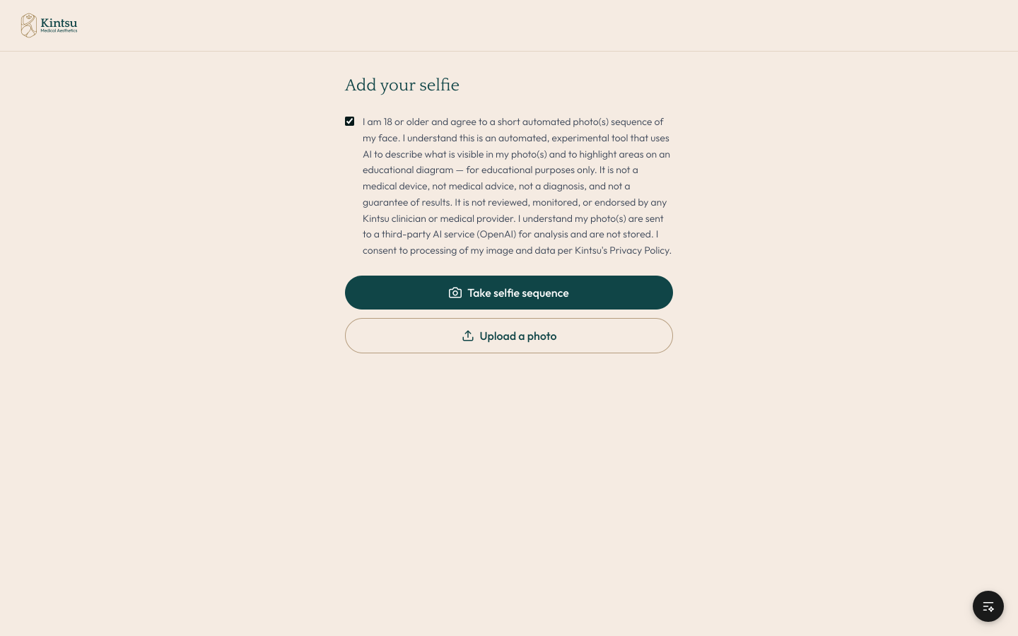 Skin consultation tool consent screen on desktop, showing the consent text and the photo upload control.